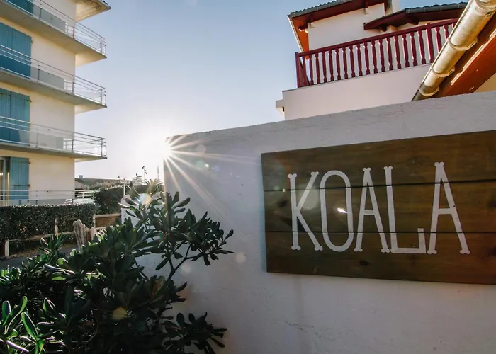 Koala Surf House, En Bord D'ocean, Planches De Surf Et Skates A Disposition *
